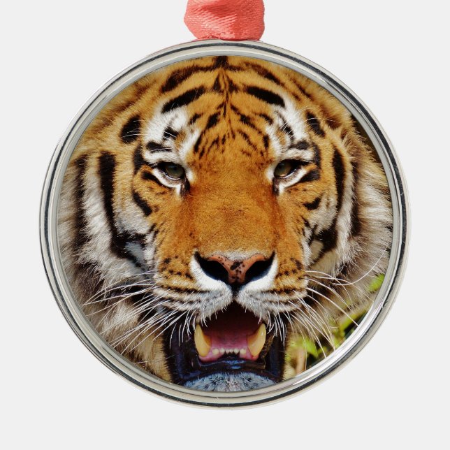 Tiger Metal Ornament (Front)