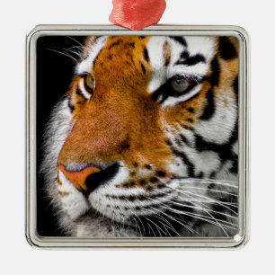 Tiger Metal Ornament