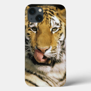 Tiger Michigan Zoo iPhone 13 Case