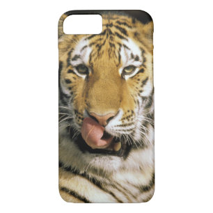 Tiger Michigan Zoo Case-Mate iPhone Case