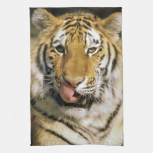 Tiger Michigan Zoo Kitchen Towel