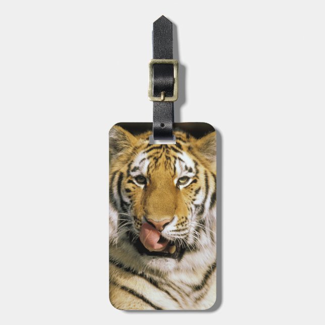 Tiger Michigan Zoo Luggage Tag (Front Vertical)