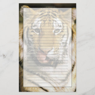 Tiger Michigan Zoo Stationery