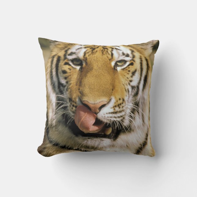 Tiger Michigan Zoo Throw Pillow (Front)