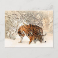 tiger mom and baby postcard