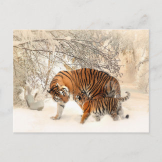 tiger mom and baby postcard