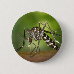 Tiger mosquito 2 inch round button