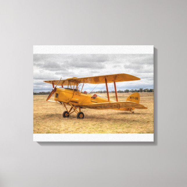 Tiger Moth Canvas Print (Front)
