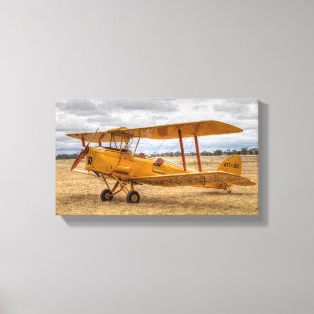 Tiger Moth Canvas Print (Front)