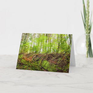 Tiger Mountain   Issaquah, Washington State Card