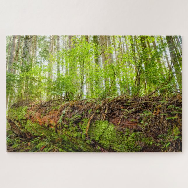 Tiger Mountain | Issaquah, Washington State Jigsaw Puzzle (Horizontal)