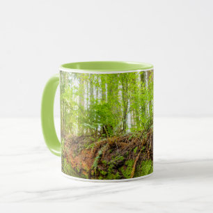 Tiger Mountain Issaquah, Washington State Mug