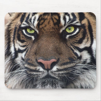Tiger Mouse Pad