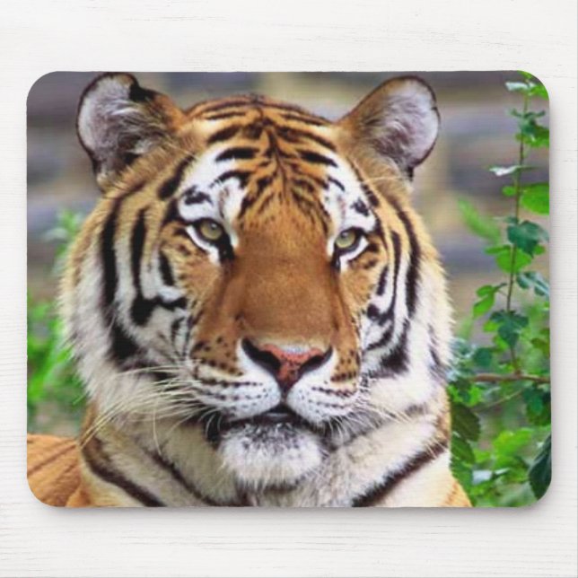 Tiger Mouse Pad (Front)
