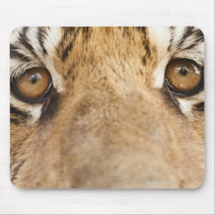 Tiger Mouse Pad