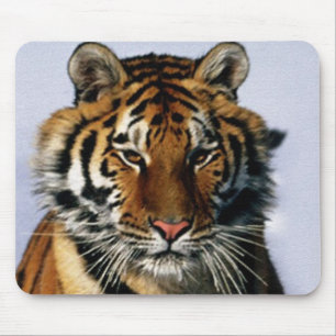 tiger mouse pad