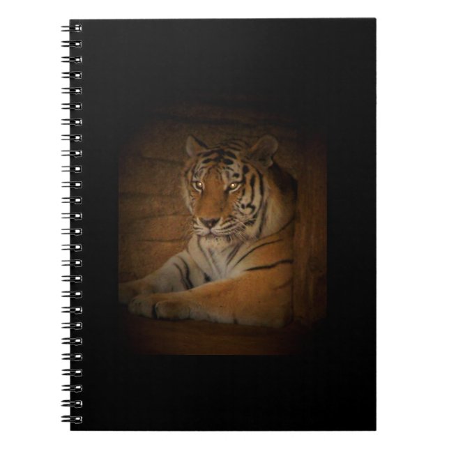Tiger Notebook (Front)