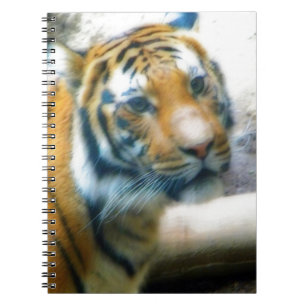 Tiger Notebook
