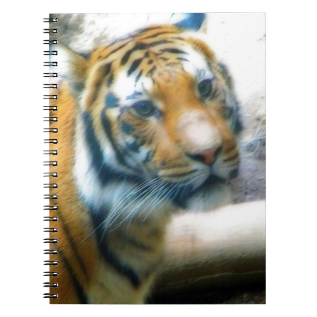 Tiger Notebook (Front)
