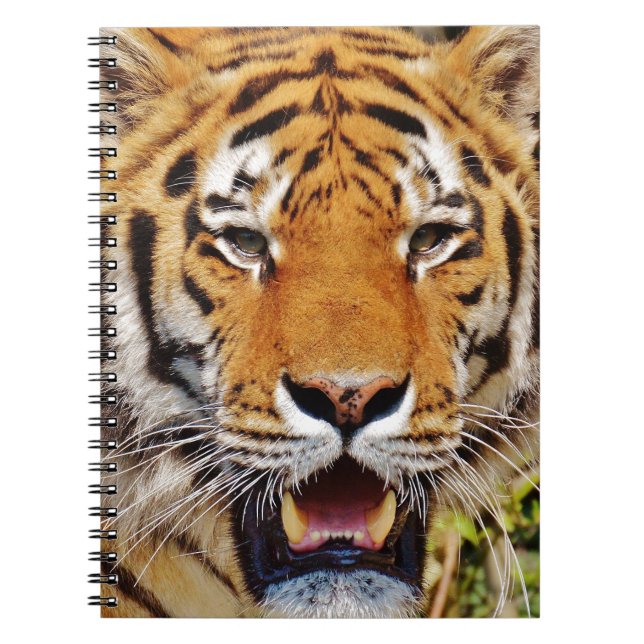 Tiger Notebook (Front)