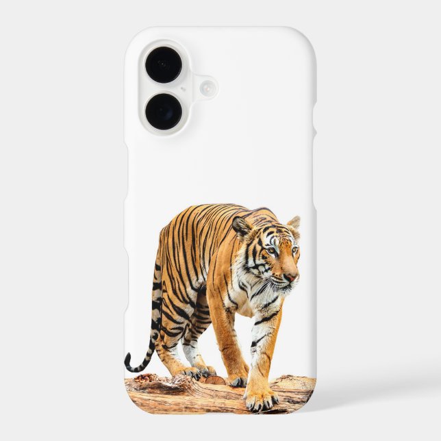 Tiger On A Log (Back)