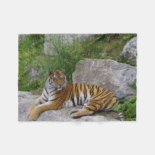 Tiger on a rock fleece blanket