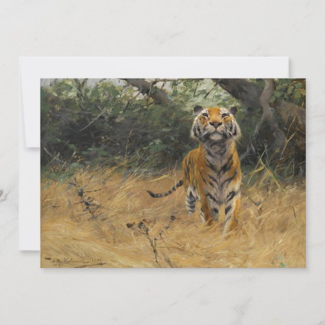 Tiger on The Watch | Wilhelm Kuhnert (Front)