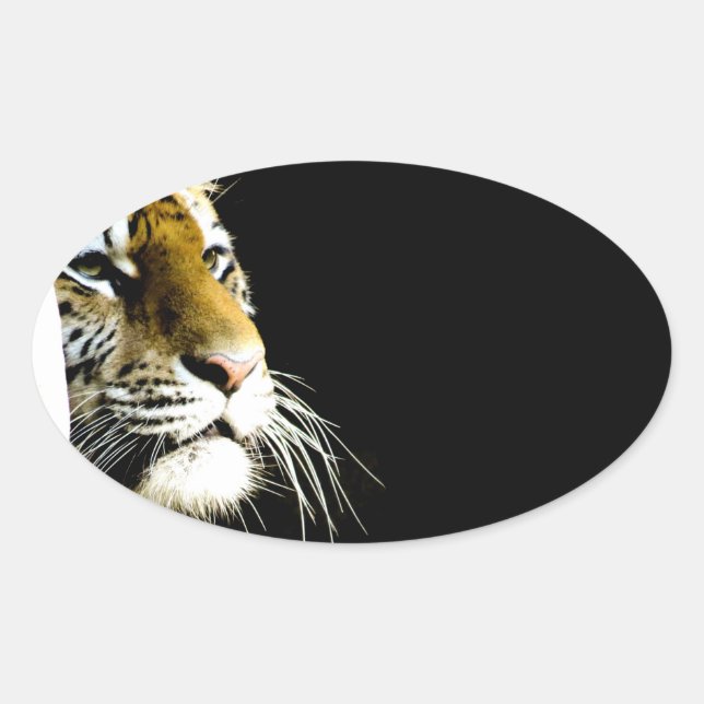 Tiger Oval Sticker (Front)