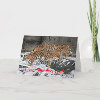 Tiger Pack Holiday Card