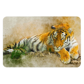 Tiger painting magnet
