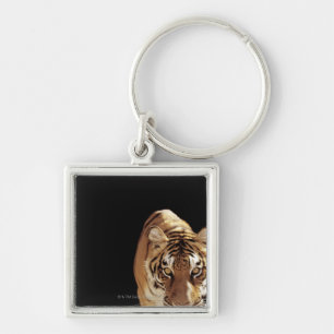 Tiger (Panthera tigris) Keychain