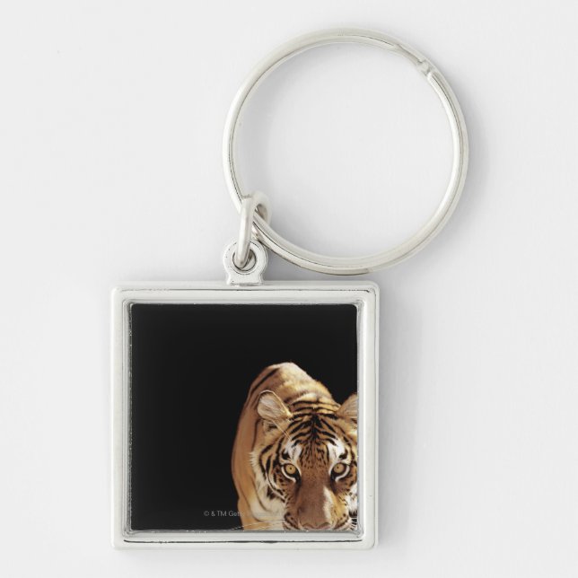 Tiger (Panthera tigris) Keychain (Front)