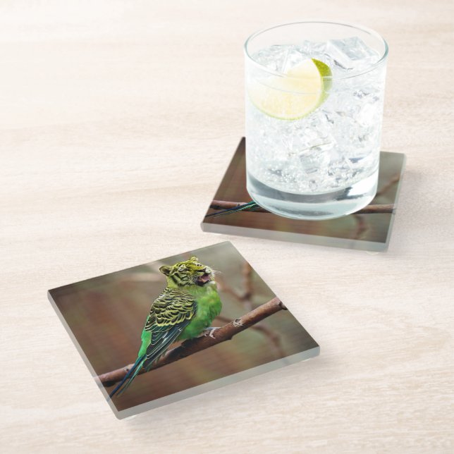 Tiger Parakeet Glass Coaster (Angled)