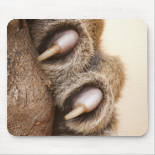 Tiger paw mouse pad