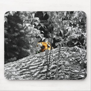 Tiger Peek-a-boo Mousapad Mouse Pad