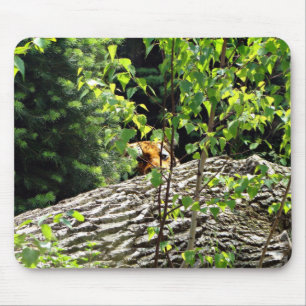 Tiger Peek-a-boo Mousepad