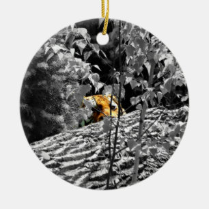 Tiger Peek-a-boo Ornament