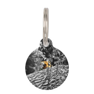 Tiger Peek-a-boo Pet Tag