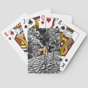 Tiger Peek-a-boo Playing Cards