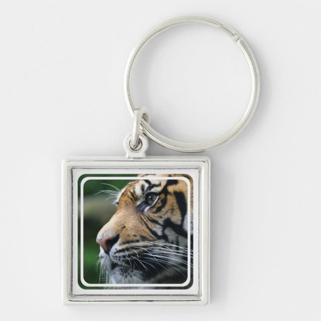 Tiger Picture Keychain (Front)