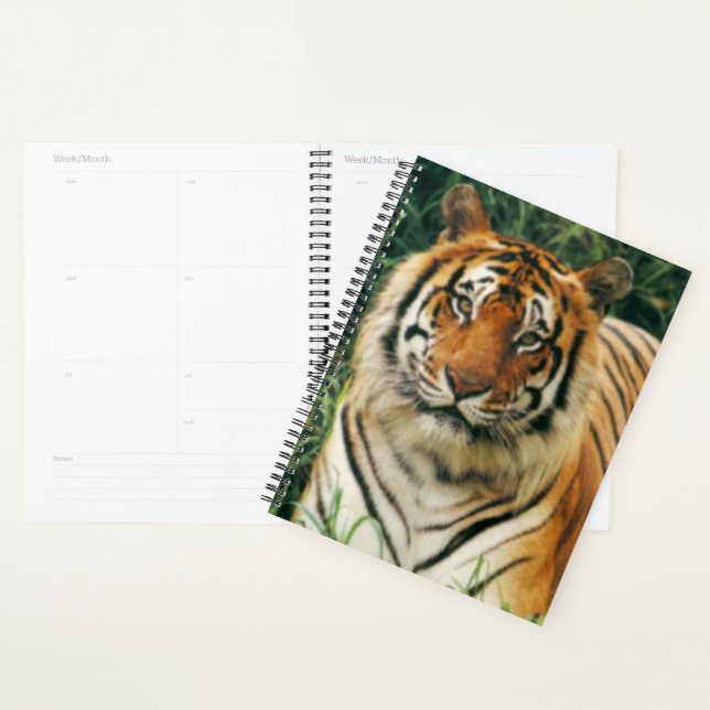 Tiger Planner (Display)