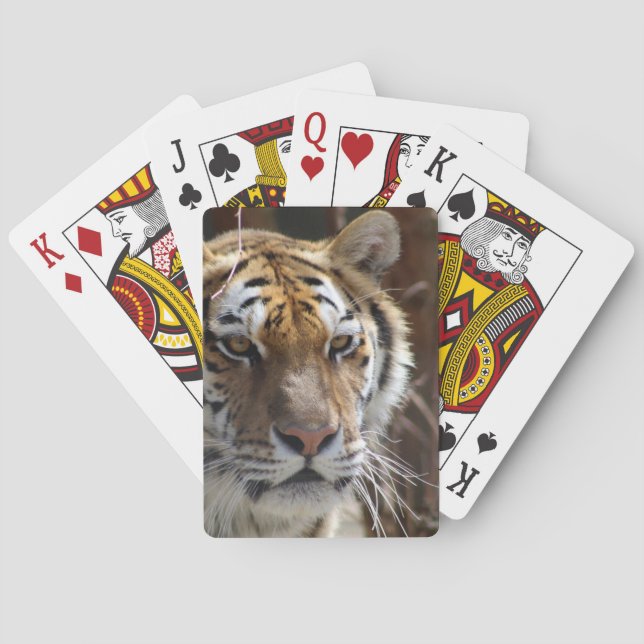 Tiger Playing Cards (Back)