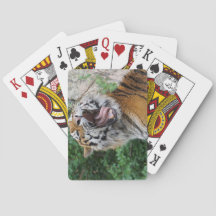 Tiger playing cards
