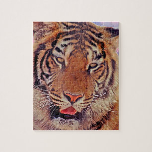 Tiger Portrait- Jigsaw Puzzle