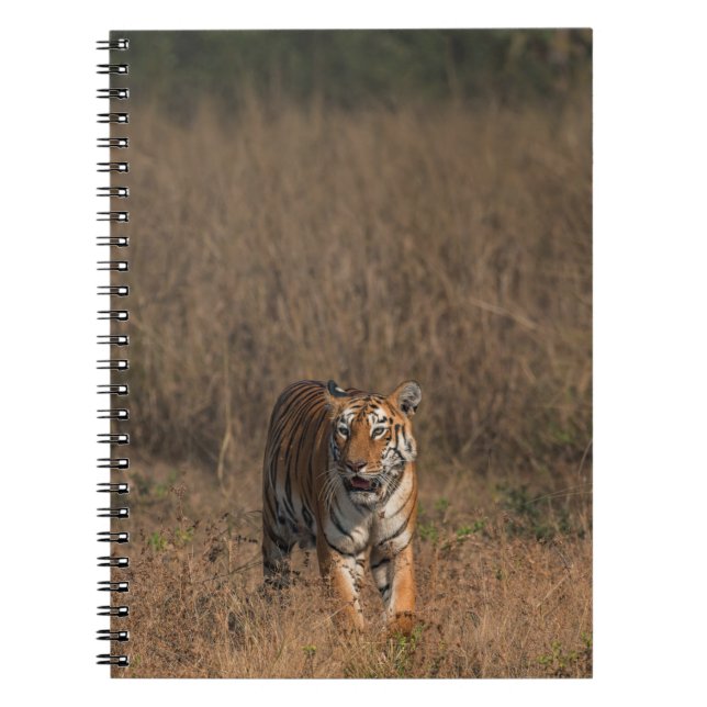 TIGER PORTRAIT NOTEBOOK (Front)