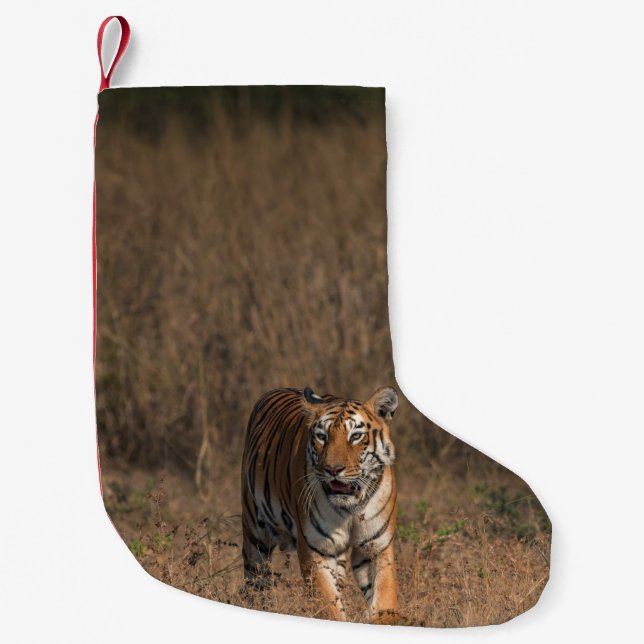 TIGER PORTRAIT SMALL CHRISTMAS STOCKING (Front)