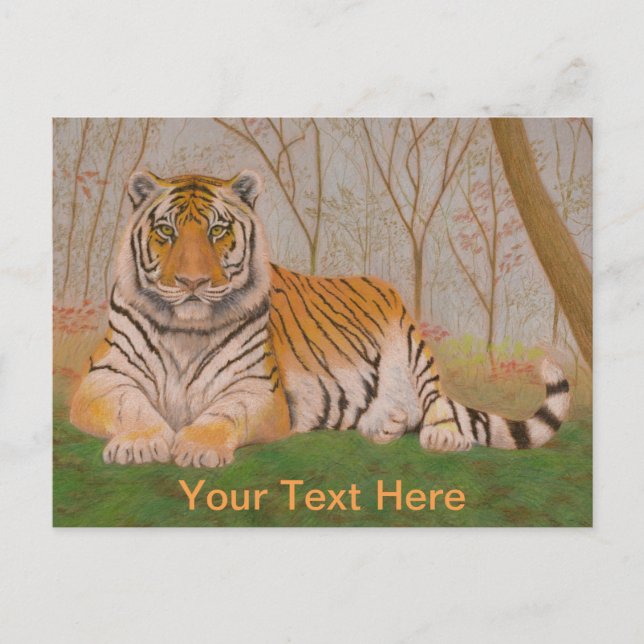 Tiger Postcard (Front)