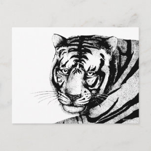 TIGER POSTCARD