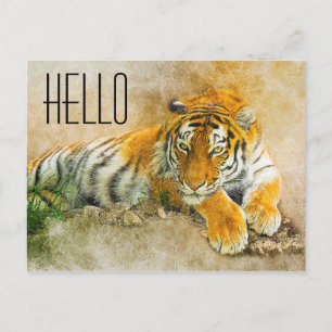Tiger Postcard