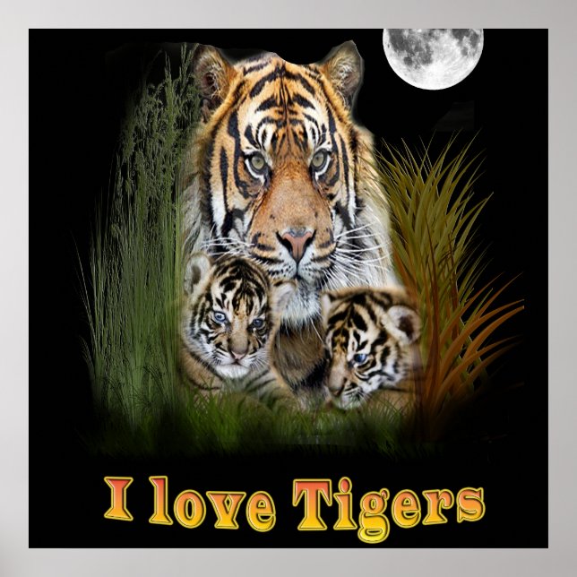 tiger poster (Front)